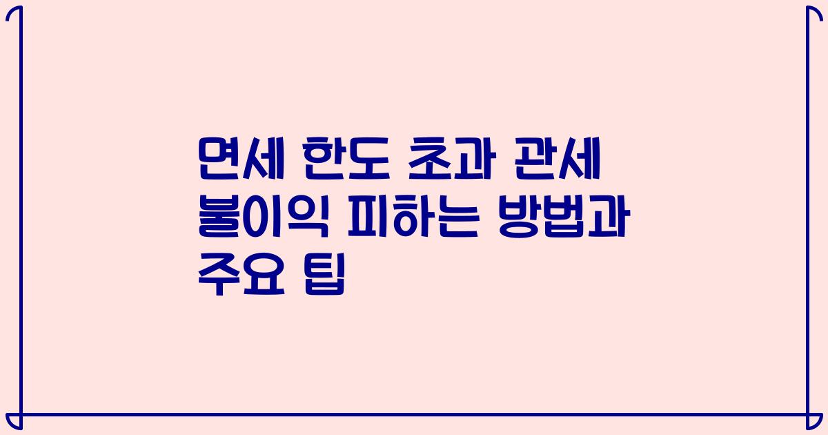 면세 한도 초과 관세 불이익 피하는 방법과 주요 팁
